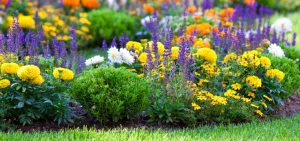 Open gardens raising funds for St Nicholas Hospice Care