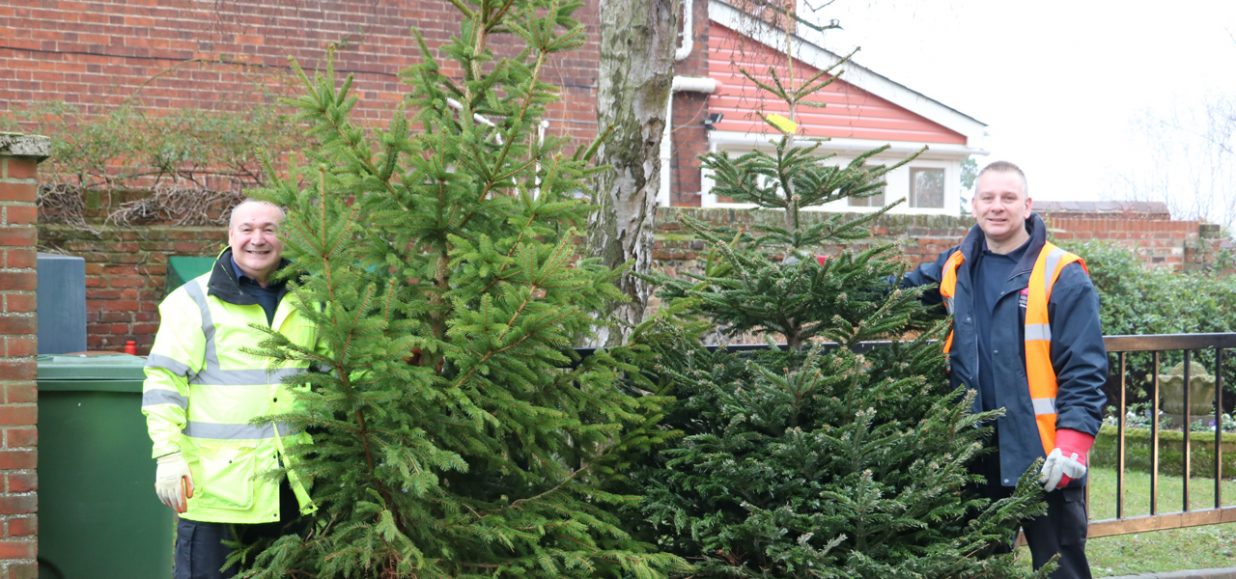 Crop of Christmas trees leads to funding boost for Hospice