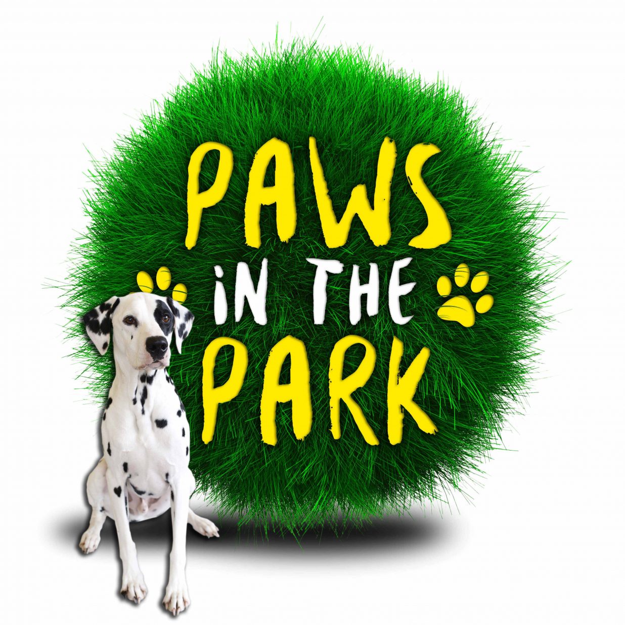 Louie steals the crown to become the face of Paws in the Park