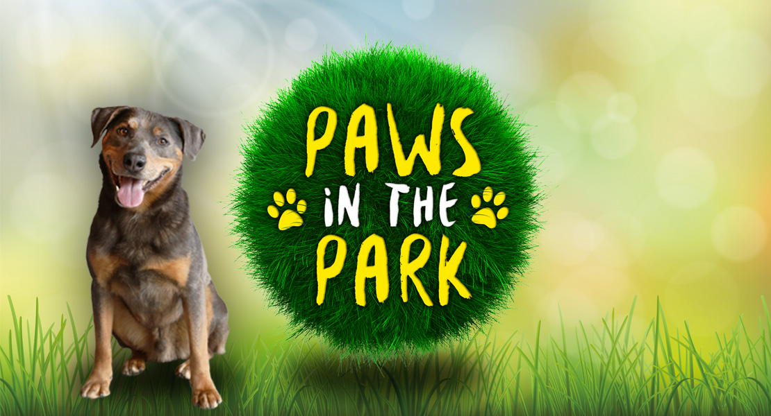 Paws in the Park St Nicholas Hospice Care website