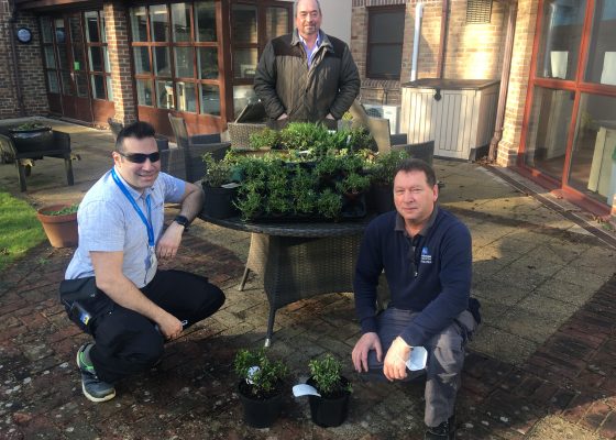 Winter garden blooms thanks to firm’s kindness