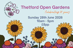 Poster for Thetford Open Gardens event celebrating 20 years, Sunday 28 June 2026, 10am to 5pm, £8 per person, with illustrated sunflowers and flowers