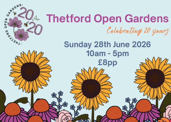 Poster for Thetford Open Gardens event celebrating 20 years, Sunday 28 June 2026, 10am to 5pm, £8 per person, with illustrated sunflowers and flowers