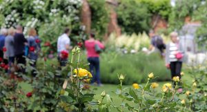 People strolling round a summer garden