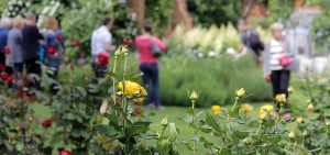 People strolling round a summer garden