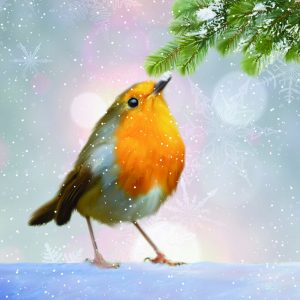 Painting of robin in the snow