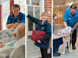Three photos showing hospice staff at work, one talking to a patient in a bed, one in the community knocking on a front door and two hospice clinicians petting a dog who is visiting a patient on the ward