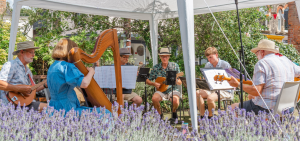 Musicians playing at the Hidden Gardens of Bury