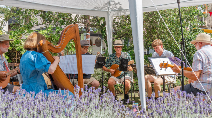 Musicians playing at the Hidden Gardens of Bury