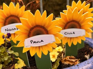 Close-up of sunflower-shaped memorial markers labelled “Paula” and “Cilla”, with another marker reading “Nanny” partially visible among flowers.