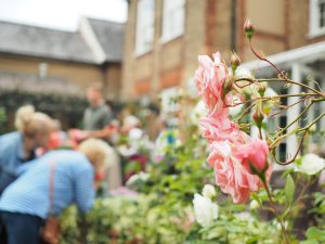 Close up picture of a light pink rose in a garden with a house and people slightly blurred in the background.
