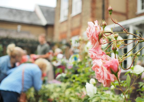 The Hidden Gardens of Bury delights visitors in another successful year raising more than £22,000